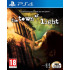 The Town of Light PS4